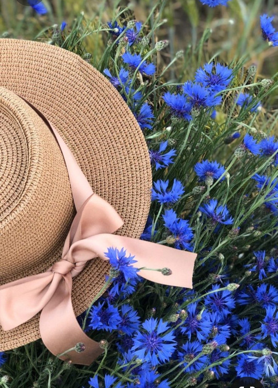 Screenshot_20230409_210230_Pinterest