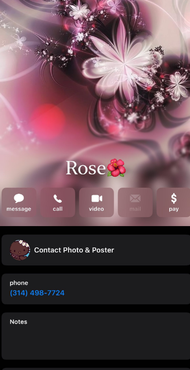 Screenshot 2024-08-16 192610