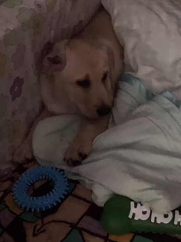 A37BD8C7-242A-4822-ACA0-26B344FDC999