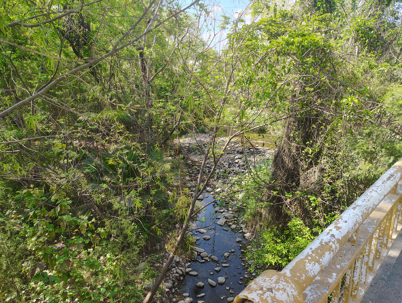 IMG 20260319 151609185 HDR