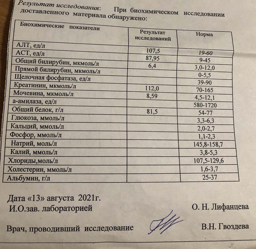 B59F980C-B1B7-4DAB-ADE9-2C850CA0BD6B