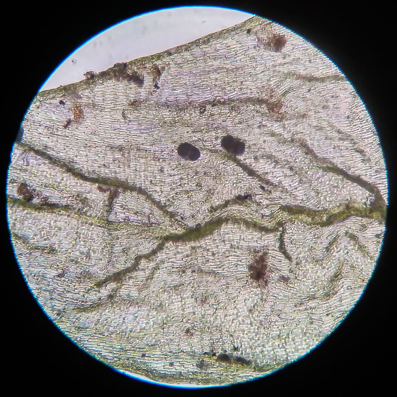 IMG 20250616 210708 HDR