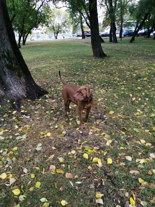 9393CD34-86DC-4DAE-8E46-55D9CF483D07