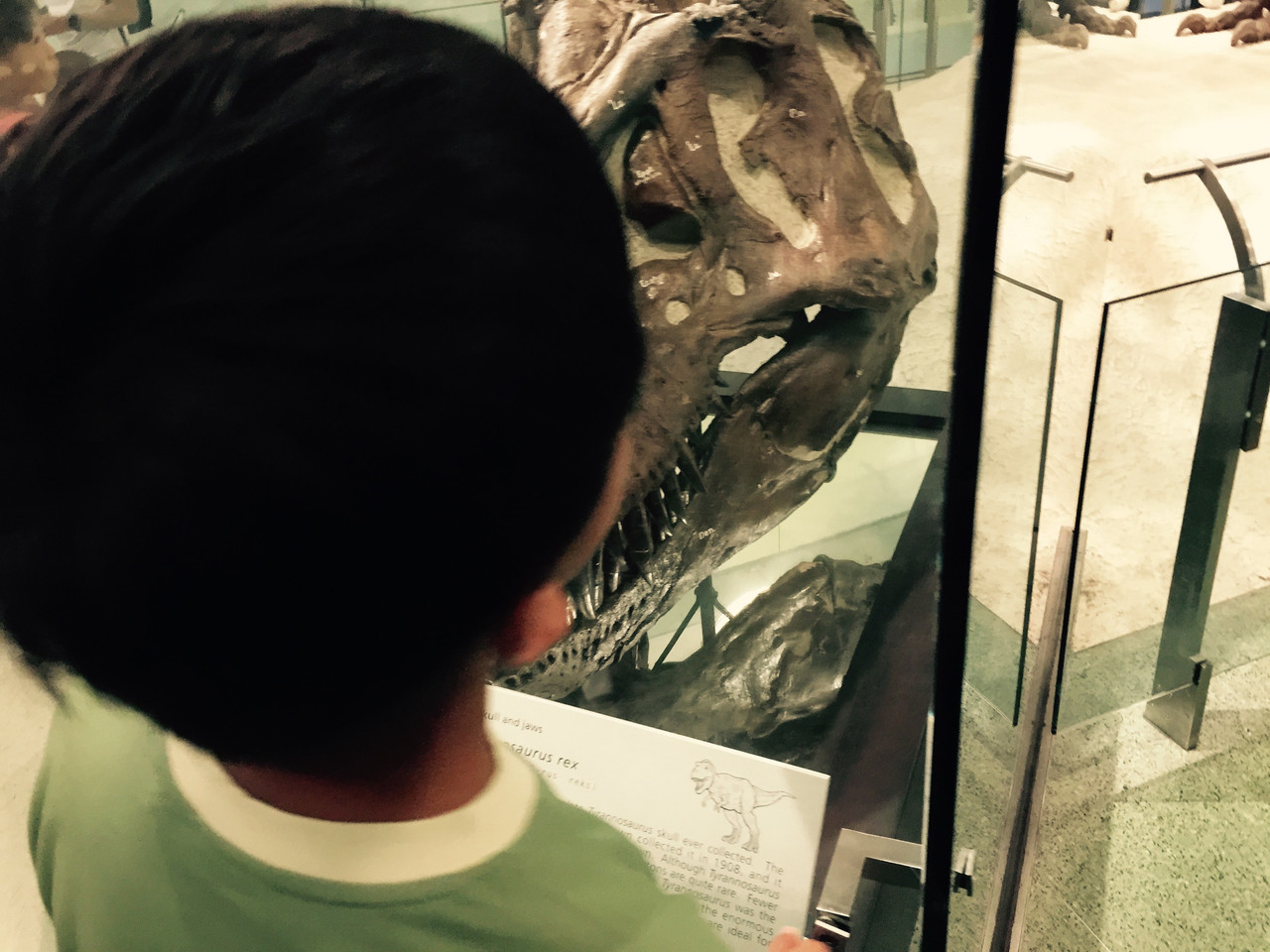 b633c246ed062f10cd6323979def740b