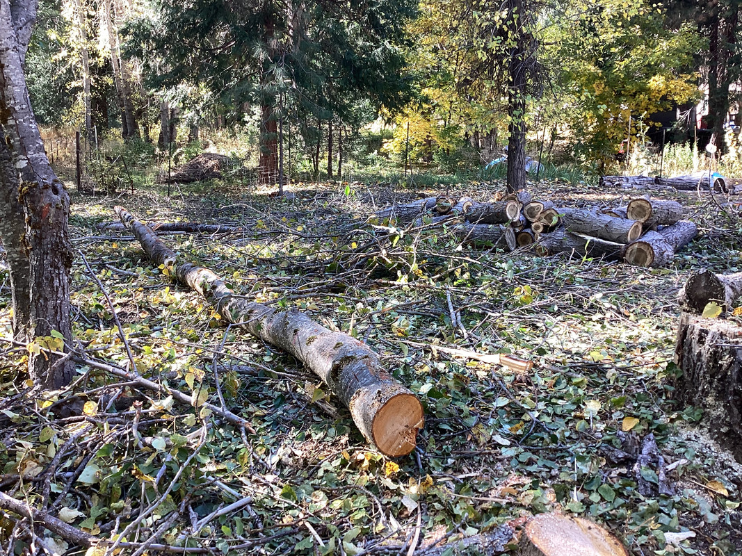 46A8AC3A-1893-467D-90EC-301C2D61C411