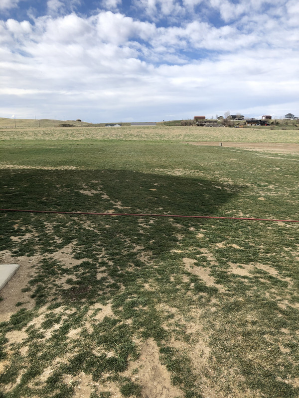 62B1E191-BDF7-41E6-B45C-1347843F004D