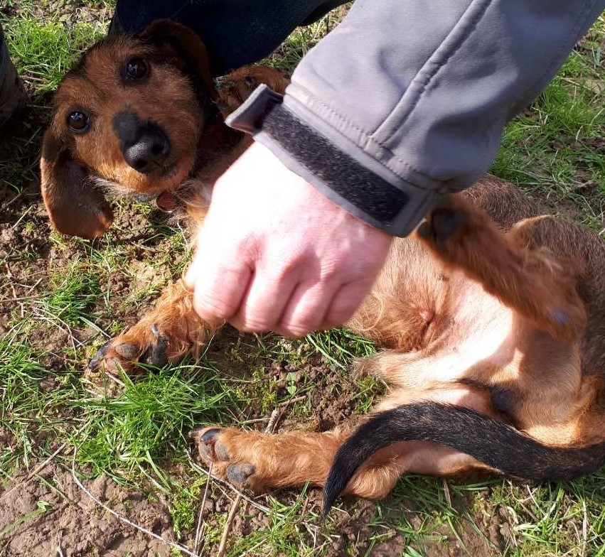 [Image: Resized-20220219-144609-6239-1.jpg]