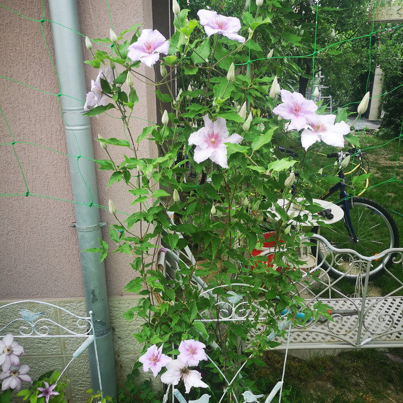 IMG_20200515_165735