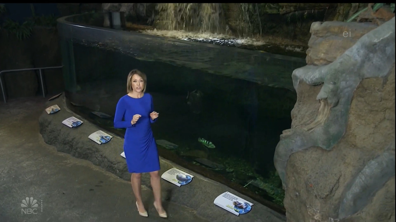 11.07 - 15.00.00 - Earth Odyssey With Dylan Dreyer. The world's smart....ts_snapshot_00.14.42.125