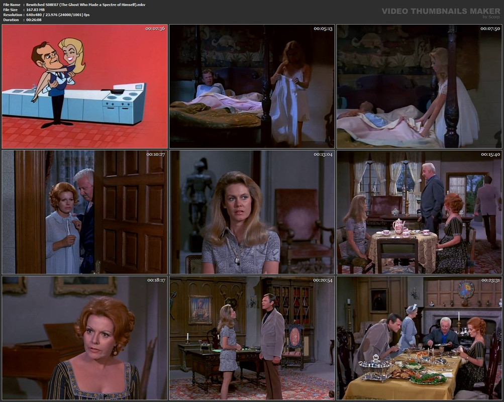 Bewitched S08E07 (The Ghost Who Made a Spectre of Himself).mkv