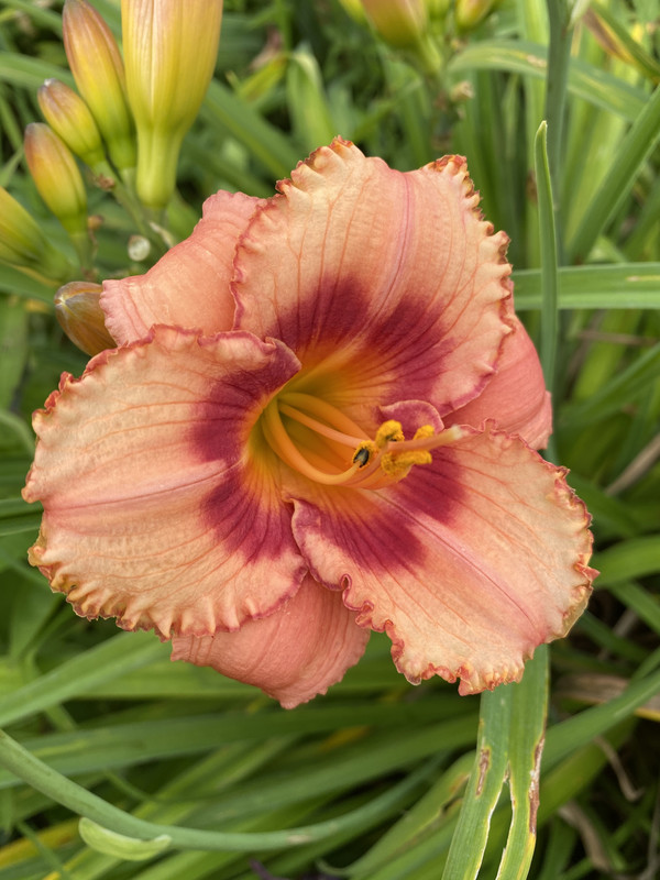 1484FBEE-92D8-43C2-94CF-1D820A2D938E