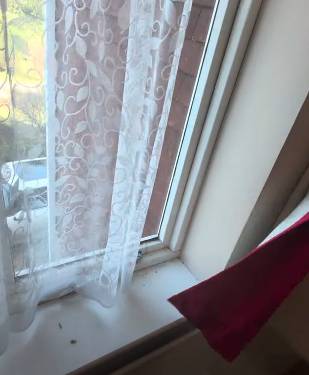 Screenshot 2026 03 11 at 13 34 49