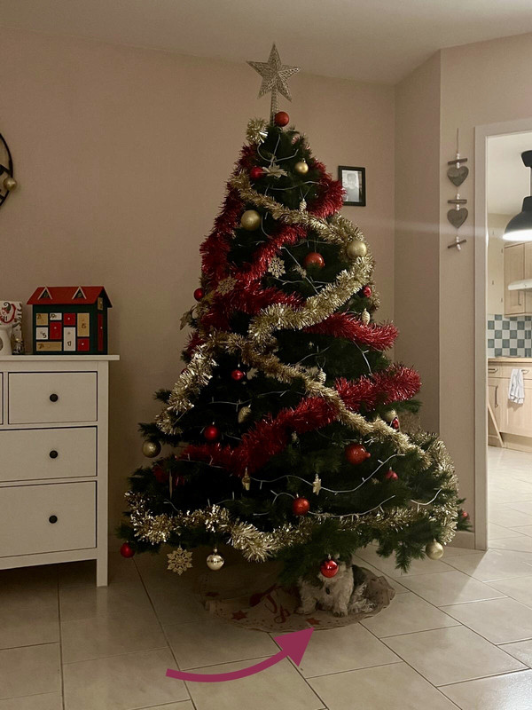 [Image: d7f03d04-06cd-4c31-a527-067f45b00828.jpg]