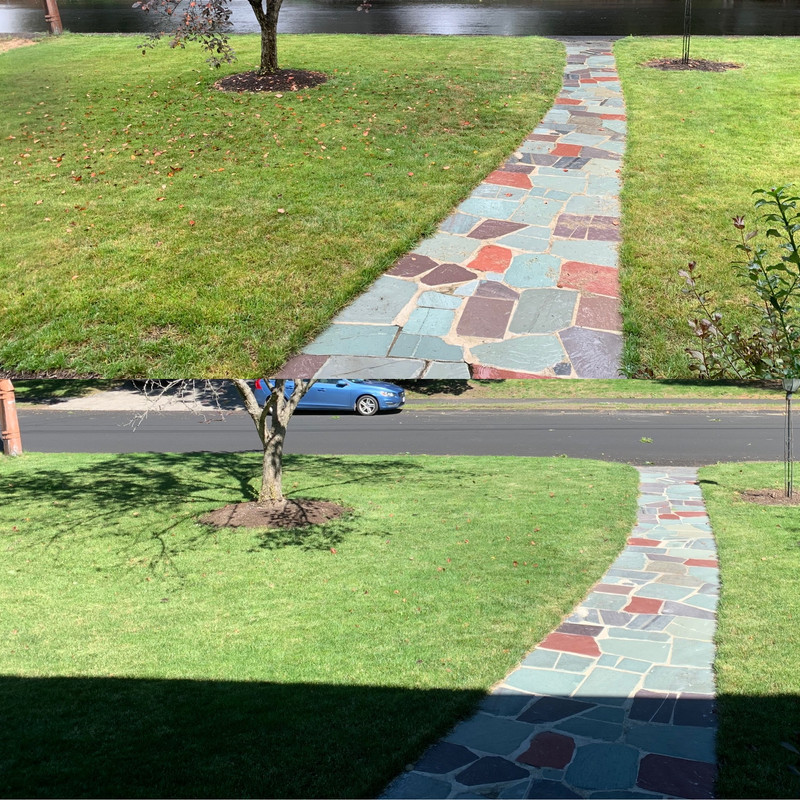 D7A9067D-D581-450C-AC86-D2768DEAE7A4