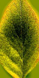 dd475814-7120-32ef-b494-d30df4a3c0ac