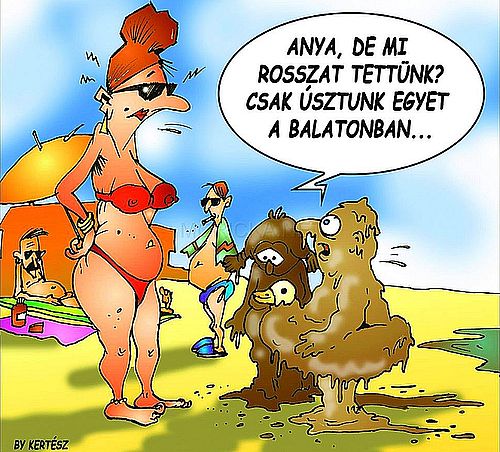 https://i.postimg.cc/j5ymgbm6/anya-de-mi-rosszat.jpg