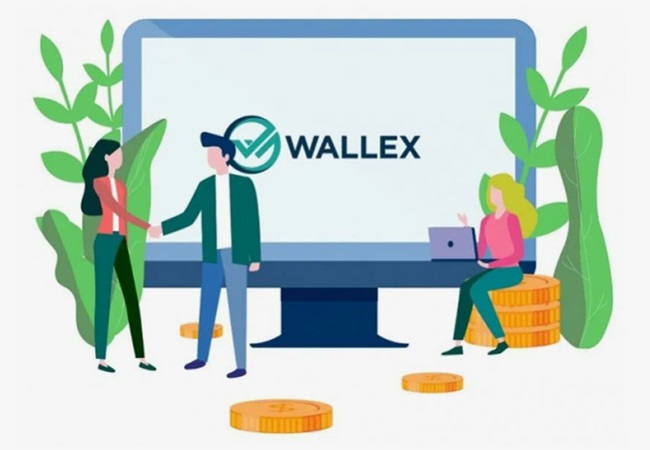 wallex.zone  fintech 