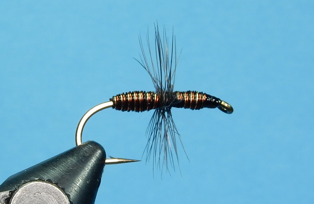 Sinking-Ant-1080.jpg