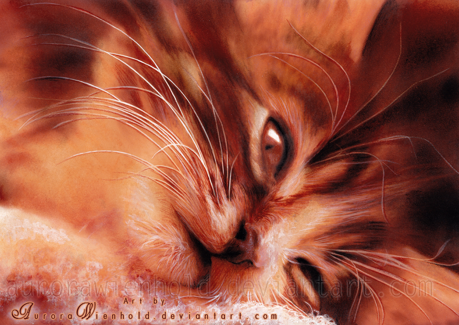 16-awaken-by-aurorawienhold-d3hiqaa