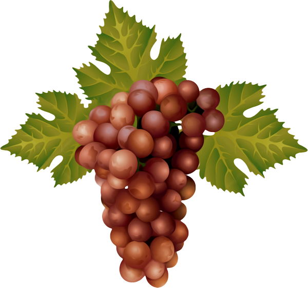 TADD_elements_ShimmerFall (92)