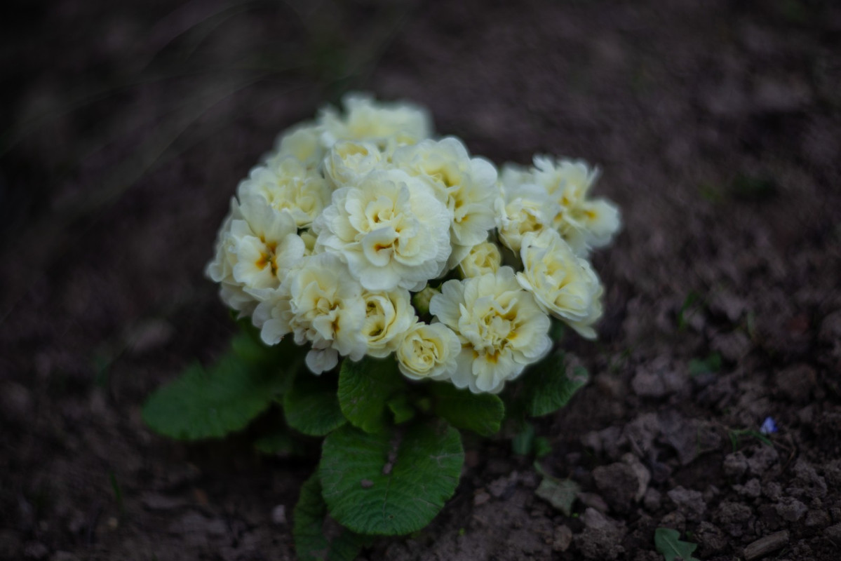 IMG-6c9d6002d7e20dd7e6c6d1028818bb32-V