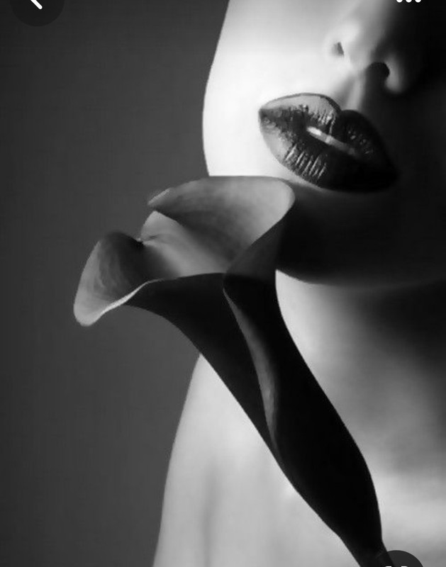 Screenshot_20231119_203055_Pinterest