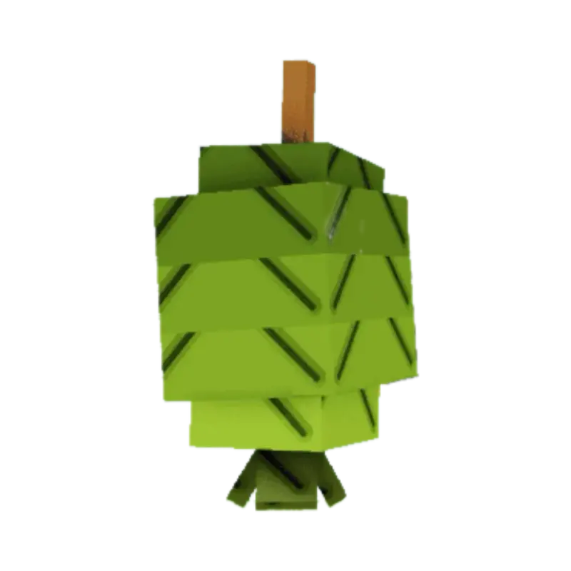 Feijoa
