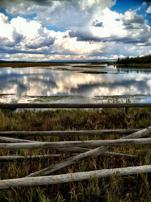 43D13CCE-1C39-49AC-9375-C296E275CCAB