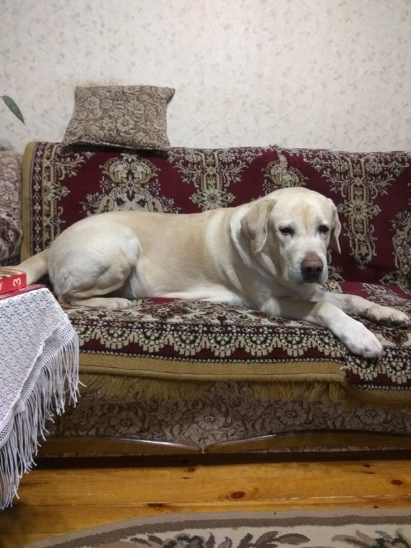 E9F480A4-4FE7-470F-98BF-7029D950C042