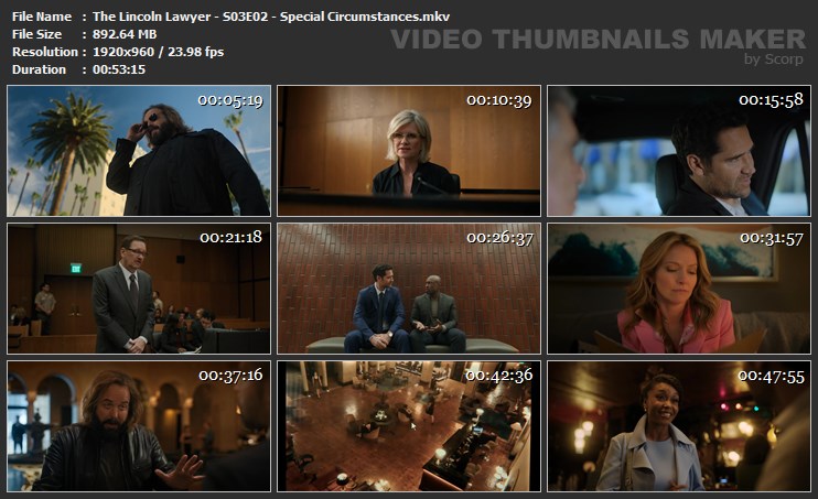 The Lincoln Lawyer - S03E02 - Special Circumstances.mkv