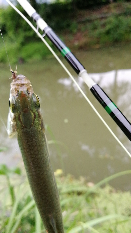 wx_camera_1557654916736