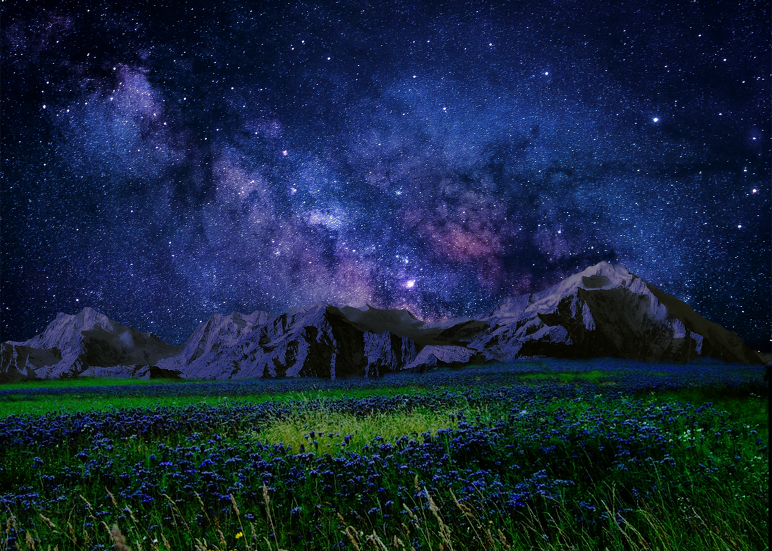 2768FF39-28D5-49B5-904F-2583FB61C858