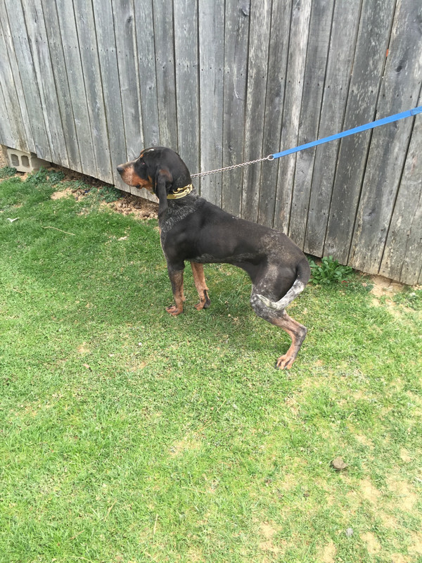 FF46964C-64C0-4B3F-BB23-3D124DE67B4B