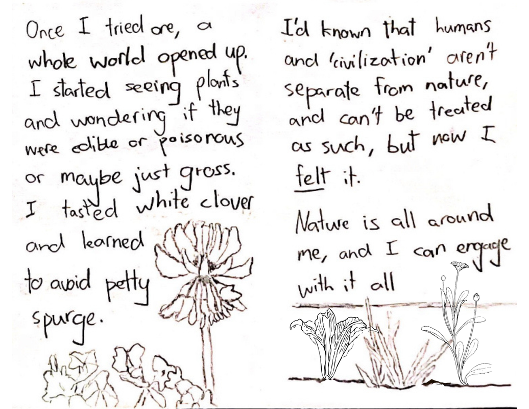 The fifth page reads “Once I tried one, a whole world opened up. I started seeing plants and wondering if they were edible or poisonous or maybe just gross. I tasted white clover and learned to avoid petty spurge.” On the bottom of the page is a line-art drawing of petty spurge leaves, and a white clover flower sticking out in front of the leaves. The sixth page reads “I’d known that humans and ‘civilization’ aren’t separate from nature, and can’t be treated as such, but I’d never felt it. Nature is all around me, and I can engage with it all.” At the bottom of the page is line-art of a tuft of grass, some flowers, and cabbage sprouting from the ground.