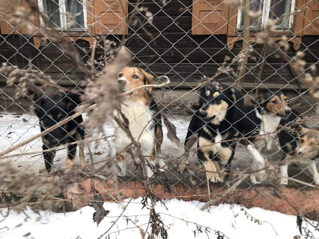 0A9AEA55-D641-4D28-83D3-38B1208D4137