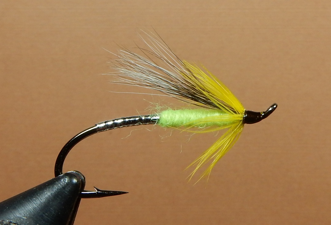 GW-Special-1080.jpg