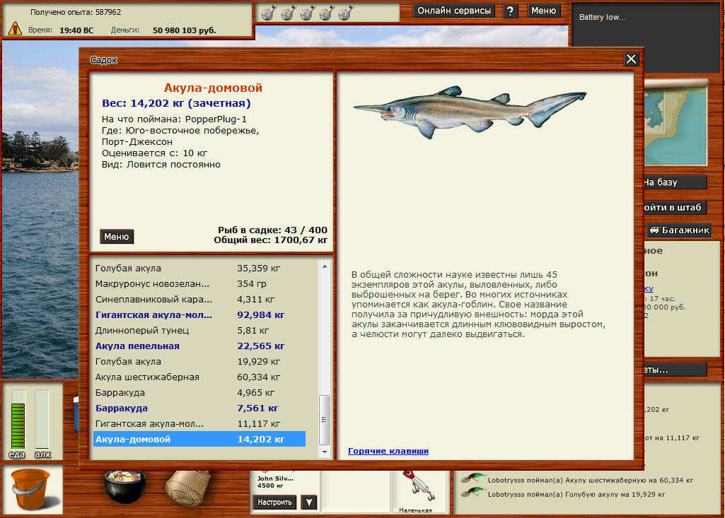 Акула домовой