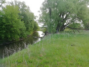 малая речка. другая река. небольшие речужкив россии. маленькая речка. друзья малых рек.