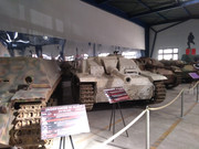 P-20220320-113313.jpg