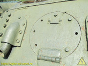 IMG-5597