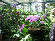 photo 11 2025 12 24 16 00 33