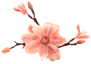 Blossom-Elements-66
