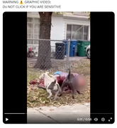 Screenshot Capture - 2023-09-16 - 02-46-10