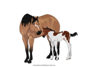 43669457-BC89-4167-8951-76B4BE0FBF75