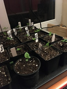 FCE0921B-5534-4868-9865-135AA68CC3FA