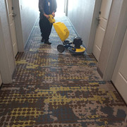 carpet cleaner near me