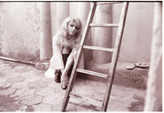 france-anglade-c04