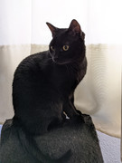 .trashed-1612261391-PXL_20210103_102221478.PORTRAIT