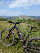 PXL_20240731_122217371