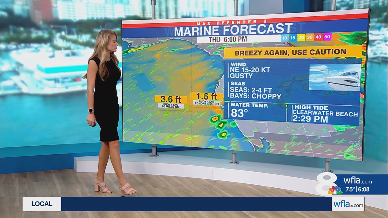 NewsChannel 8 Today at 6a_20251009_11001200.ts_snapshot_00.09.32.275